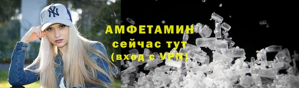 прущие грибы Вяземский
