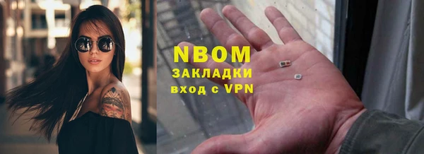 прущие грибы Вяземский
