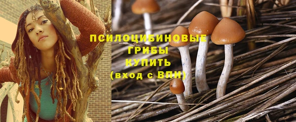 не бодяженный Волоколамск