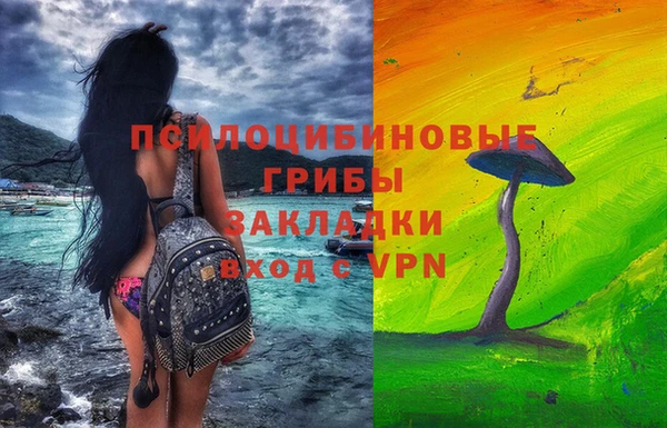 тгк Саяногорск