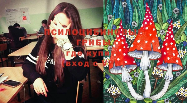 стафф Володарск