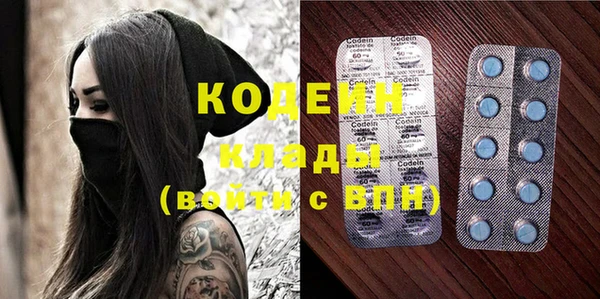 прущие грибы Вяземский