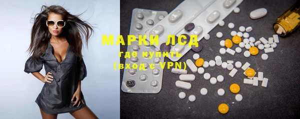 прущие грибы Вяземский