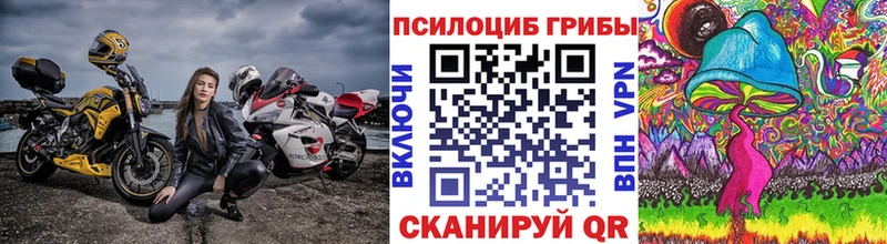 Галлюциногенные грибы Magic Shrooms  Вихоревка 
